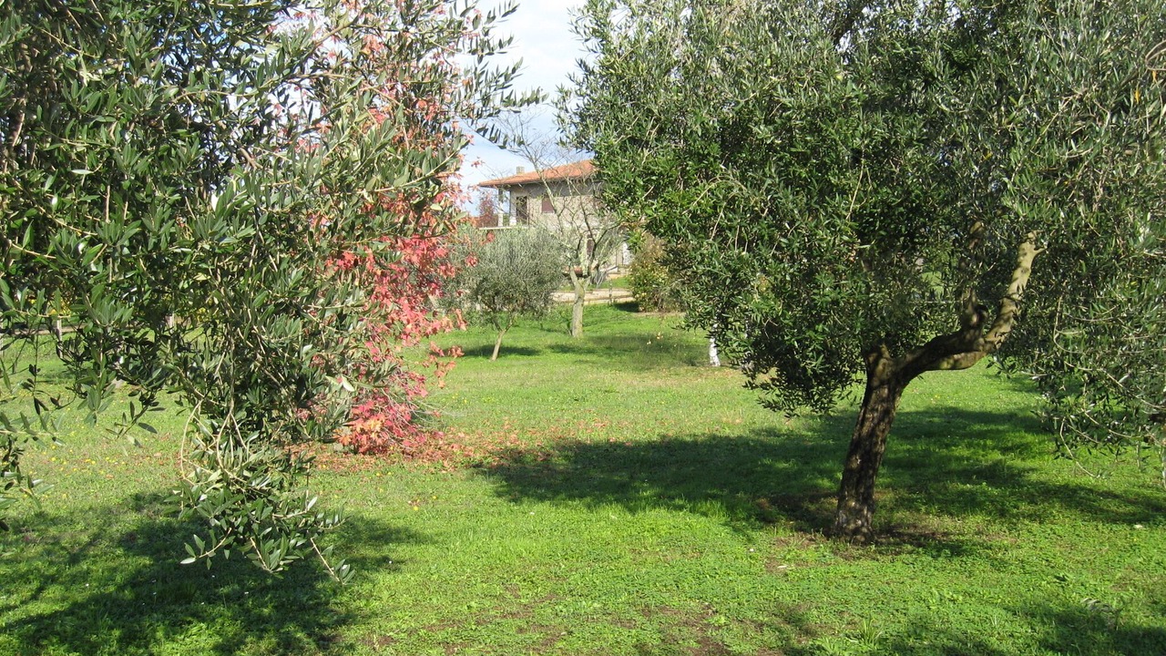 Photo of Outdoor in Lake Bracciano