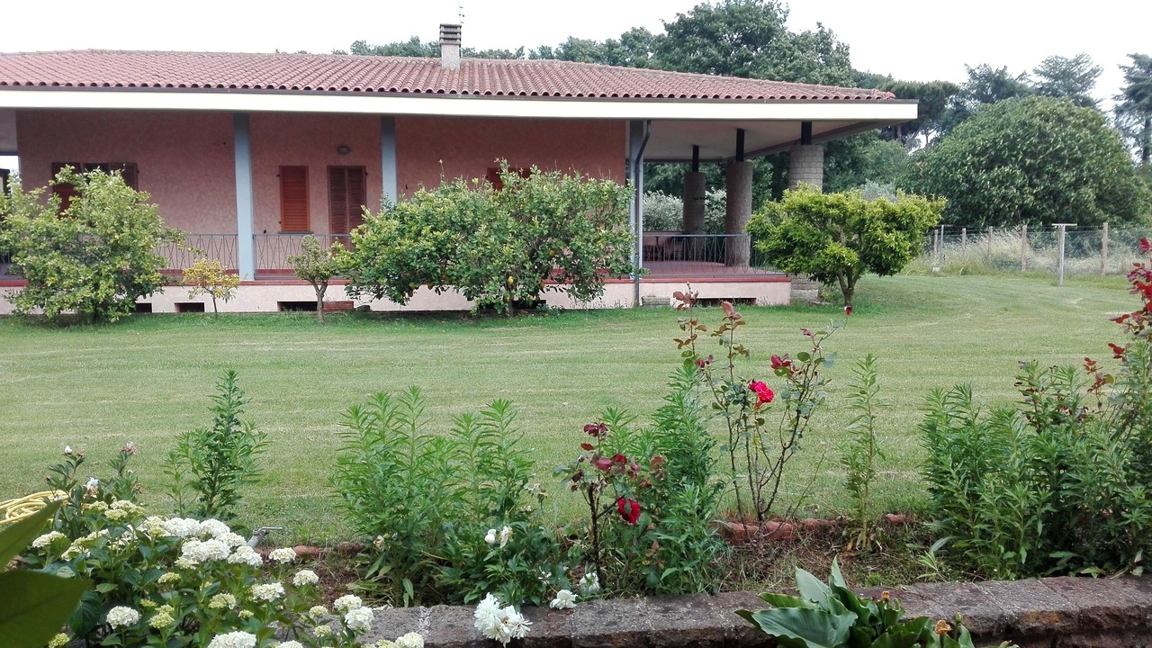 Photo of Outdoor in Lake Bracciano