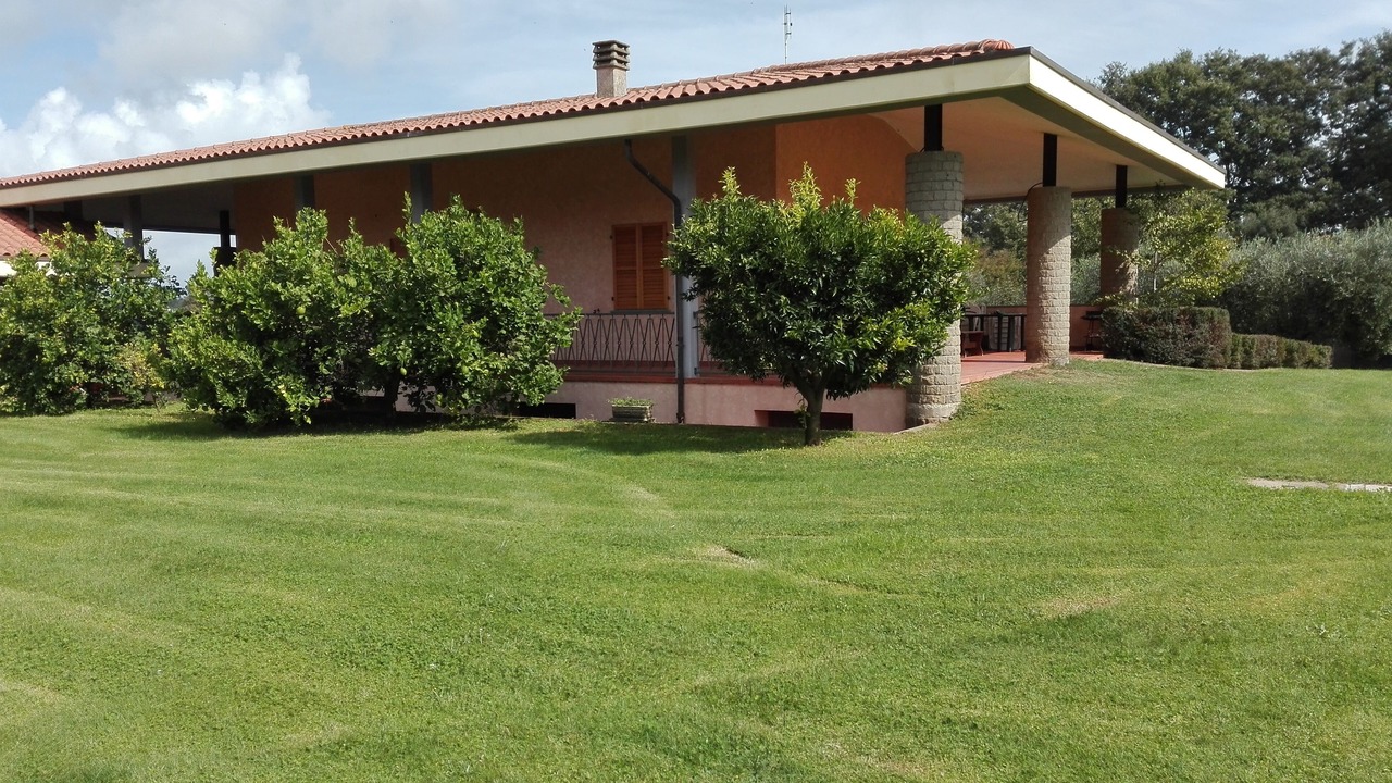 Photo of Outdoor in Lake Bracciano