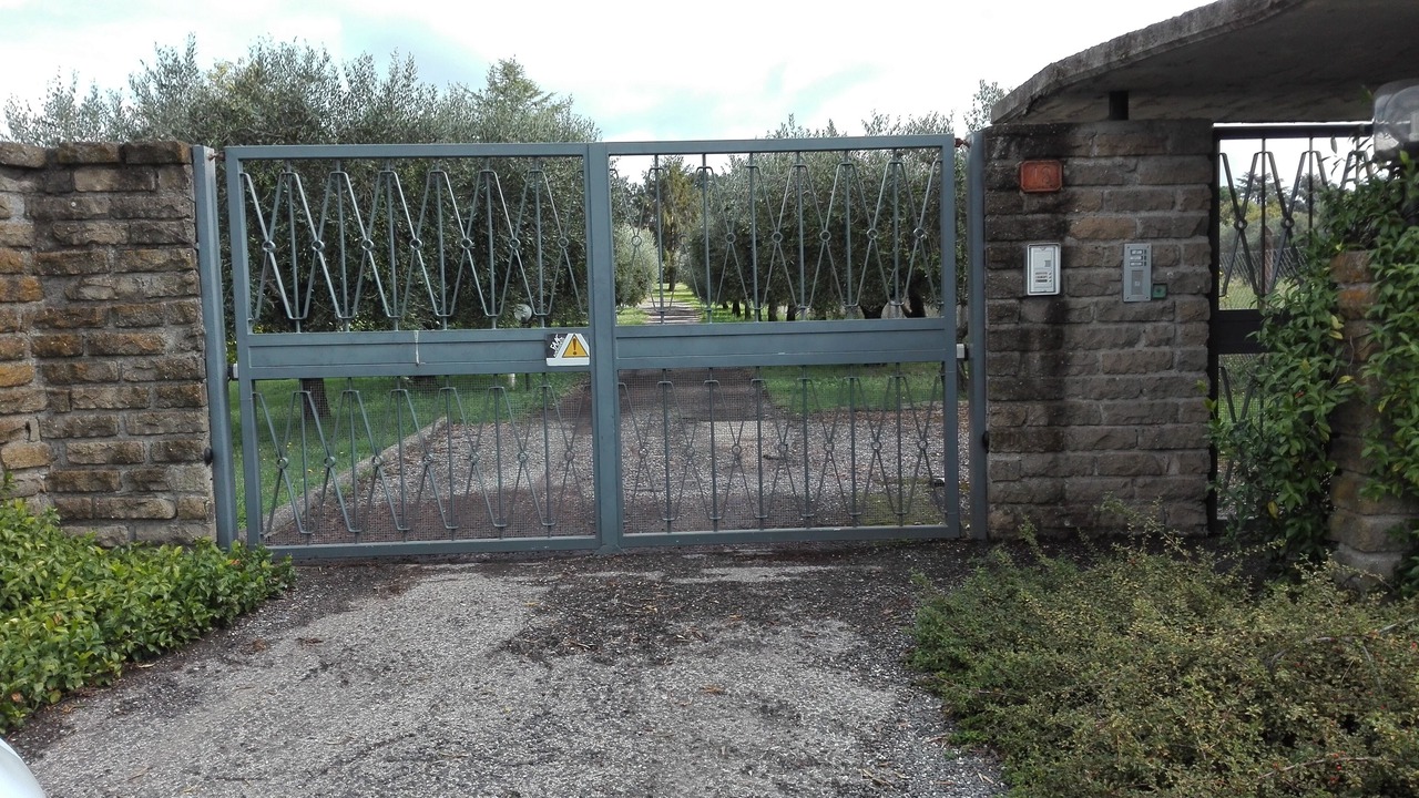 Photo of Outdoor in Lake Bracciano