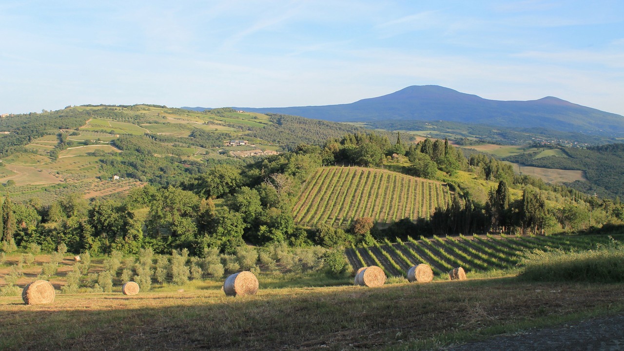 Photo of Others in Castiglione d'Orcia