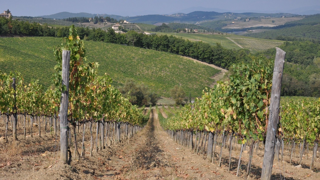 Photo of Outdoor in San Casciano in Val di Pesa