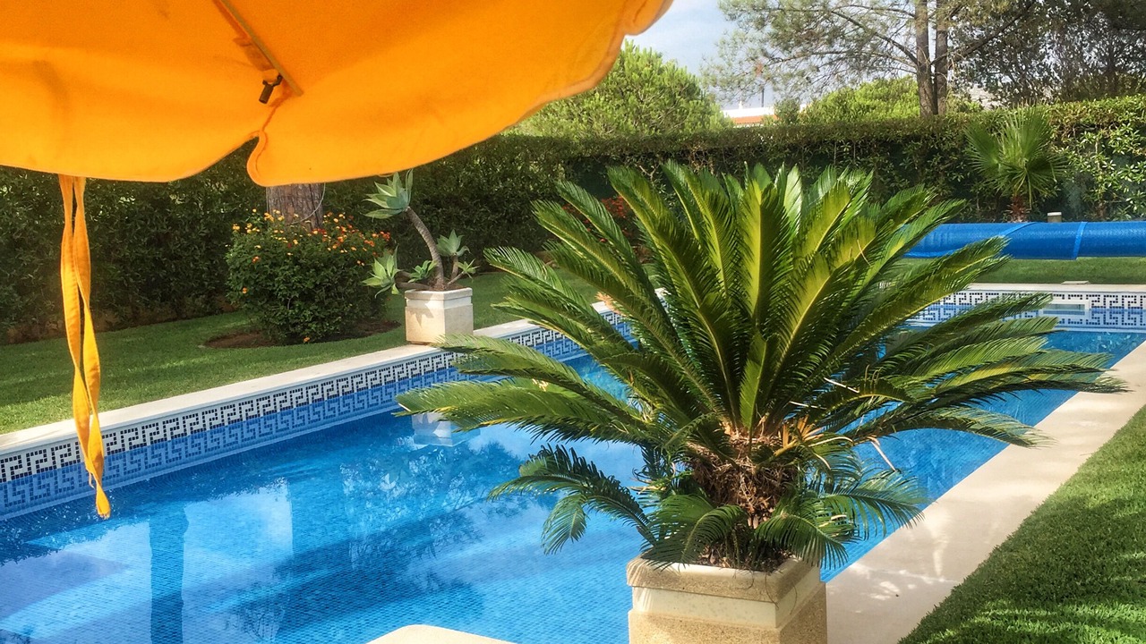 Photo of Outdoor in Vilamoura