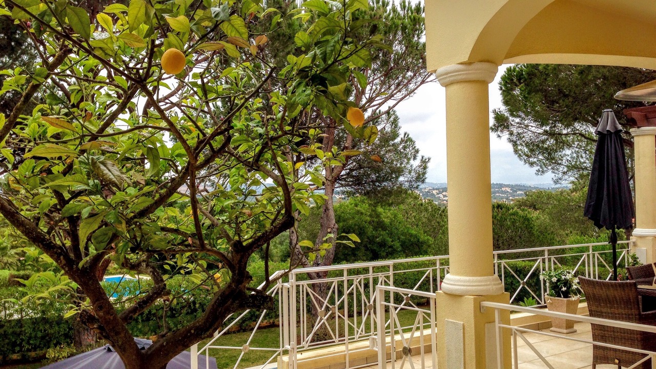 Photo of Outdoor in Vilamoura