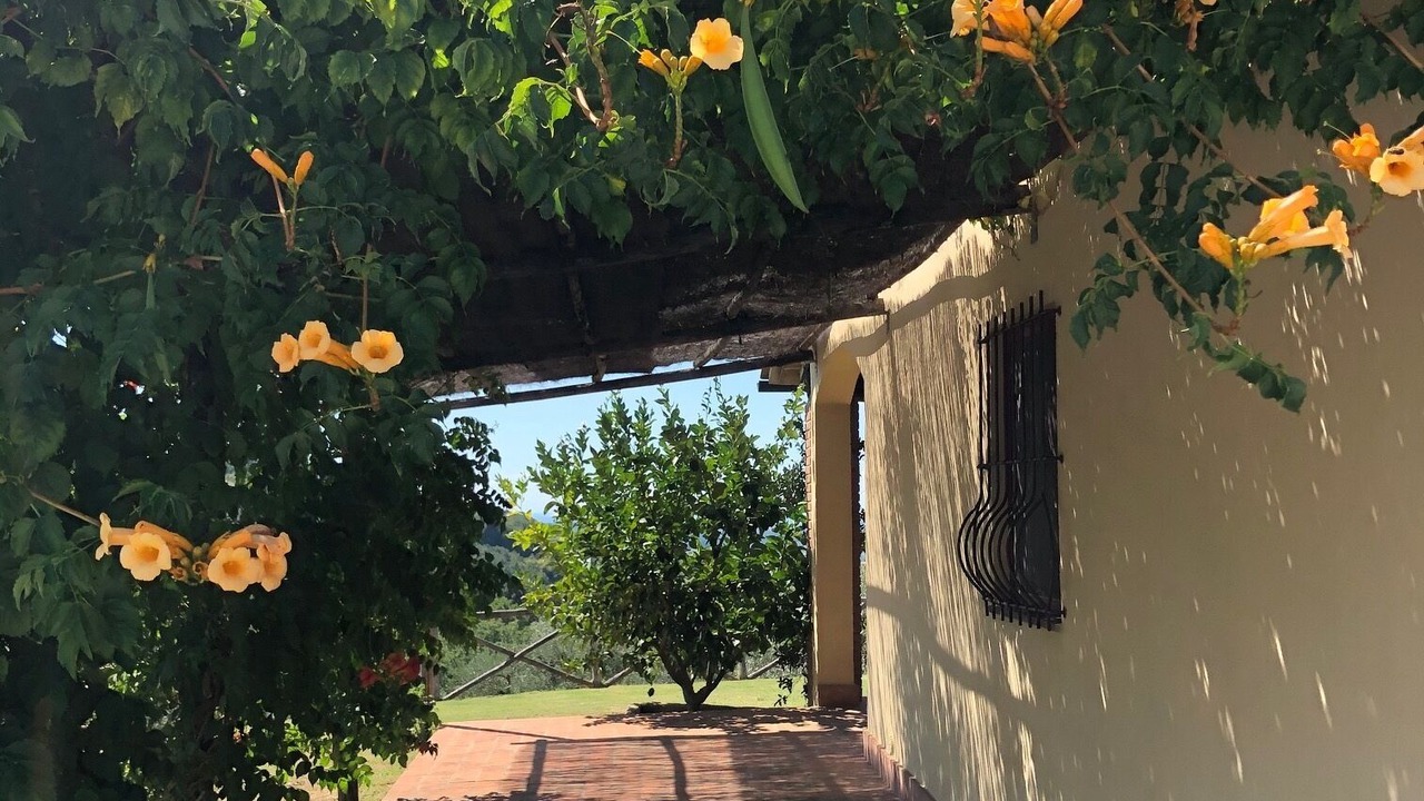 Photo of Outdoor in Riparbella