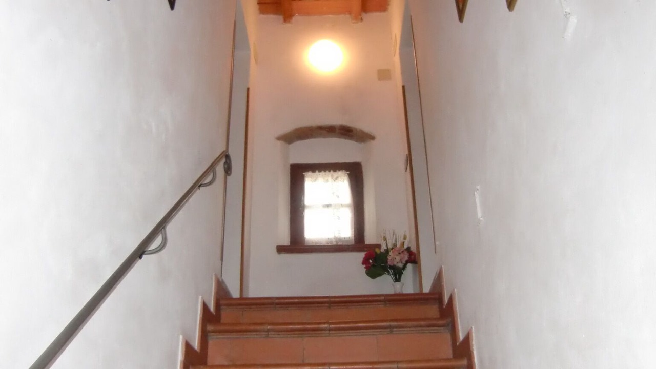 Photo of Others in Montescudaio