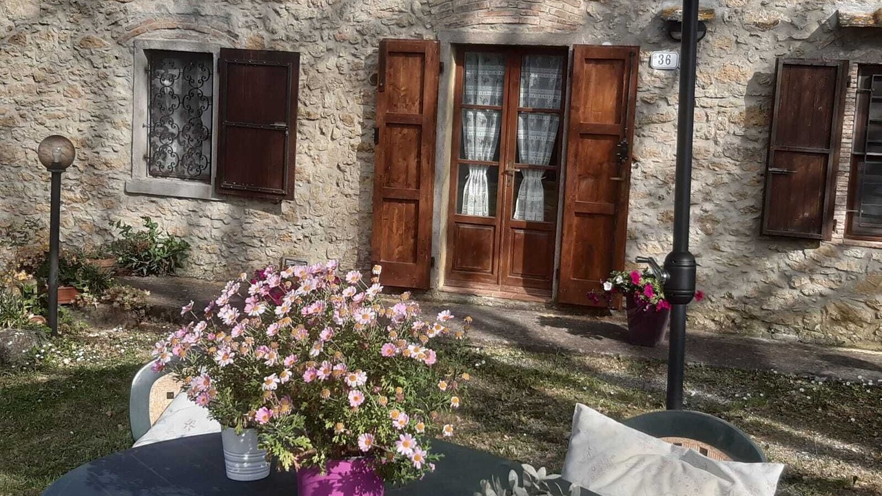 Photo of Outdoor in Montescudaio