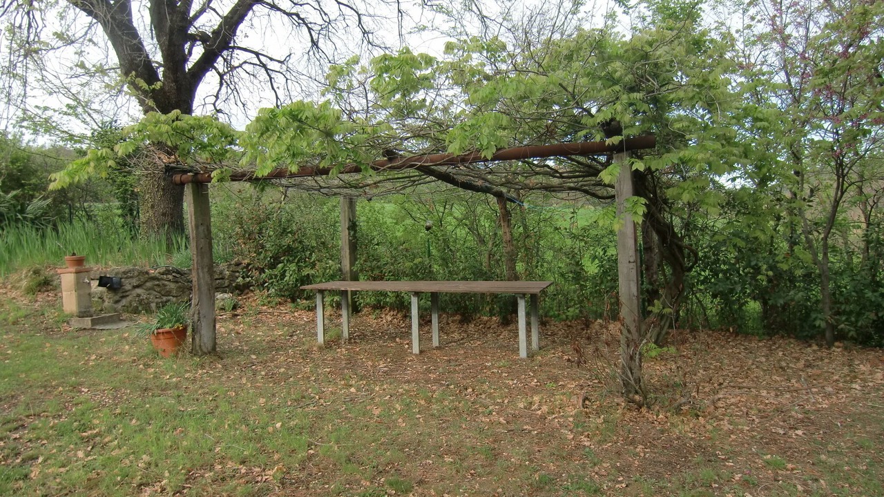 Photo of Outdoor in Montescudaio