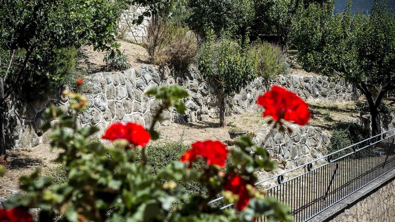 Photo of Outdoor in Canterano