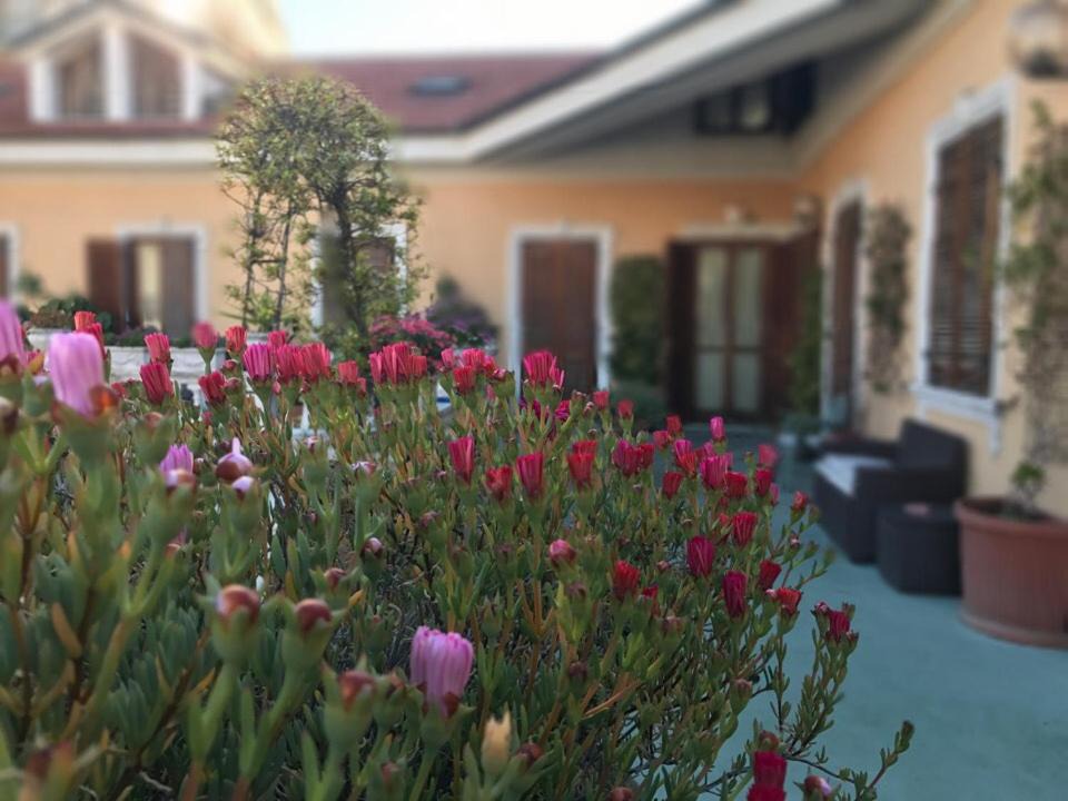Photo of Buildings in Imperia
