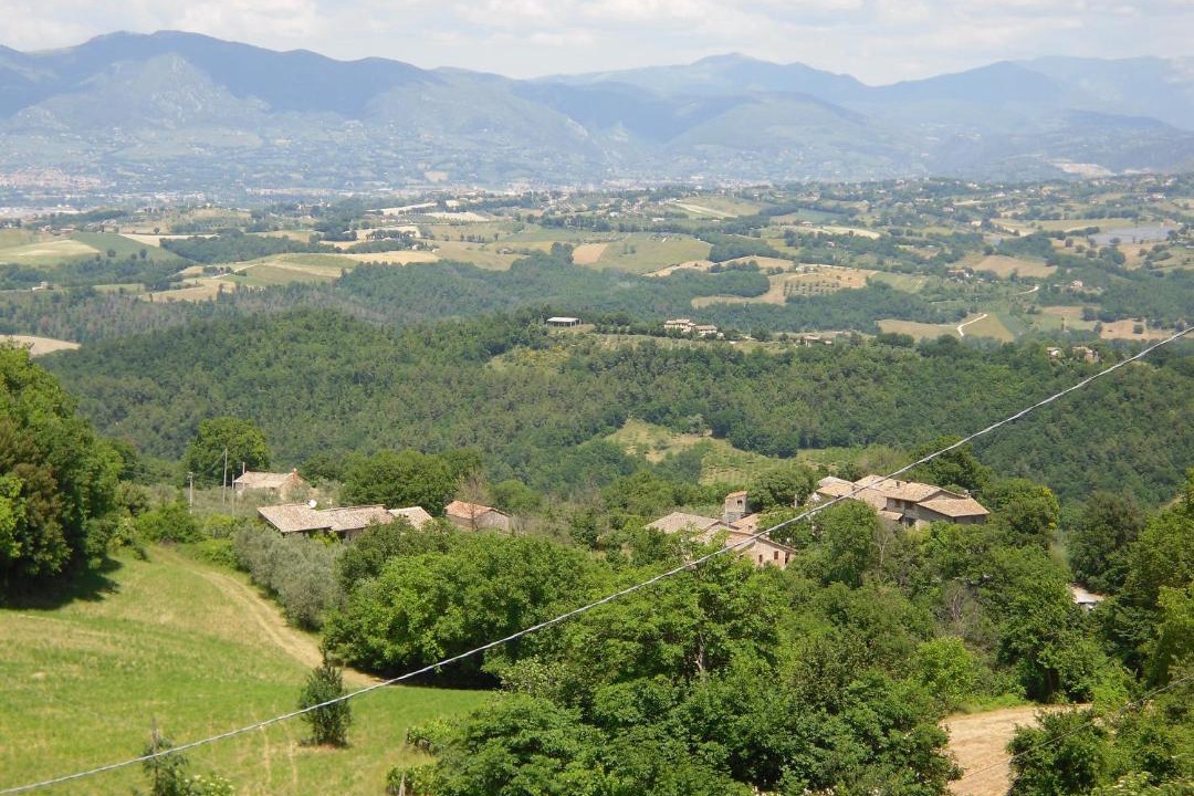 Photo of Others in Narni