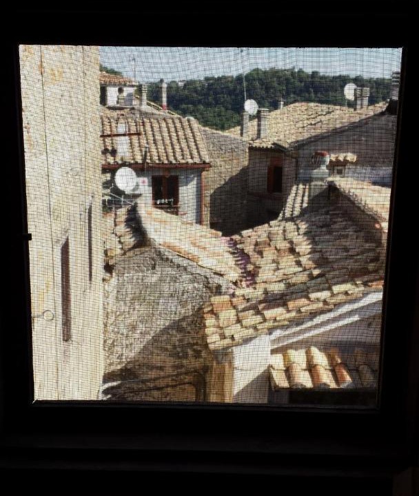 Photo of Others in Mazzano Romano