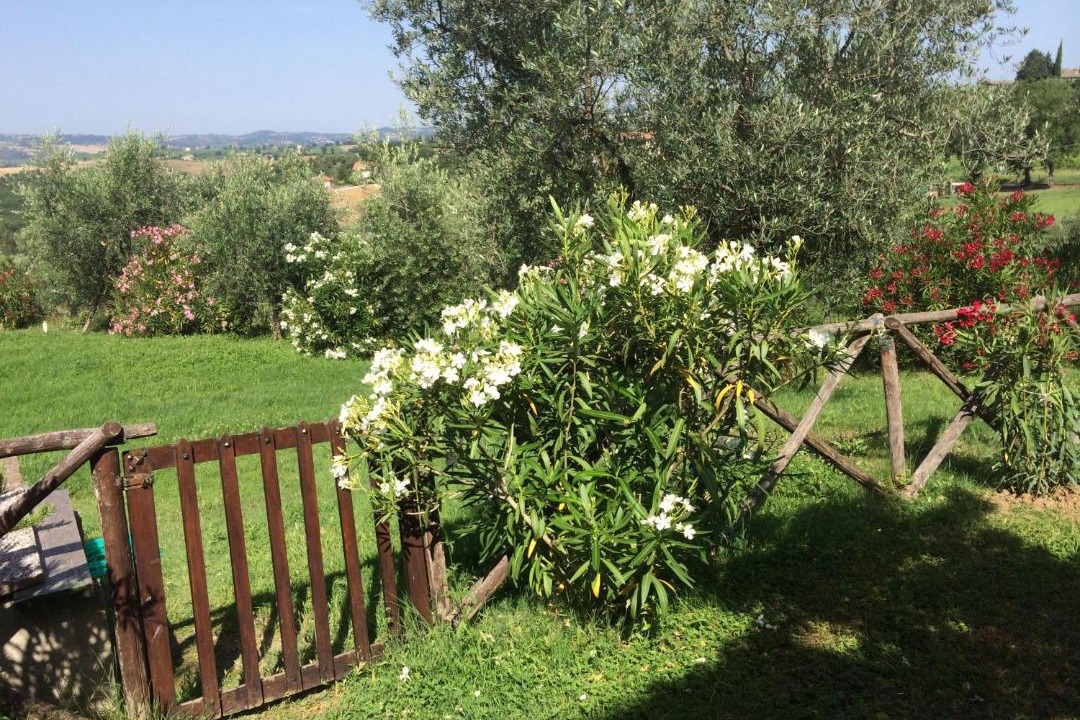 Photo of Others in Pietrauta