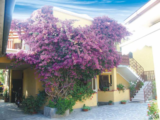 Photo of Others in Porto Azzurro