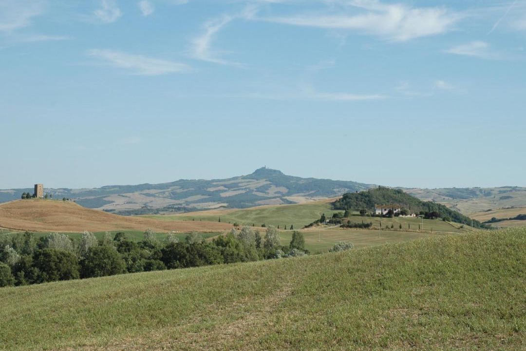 Photo of Others in Gallina