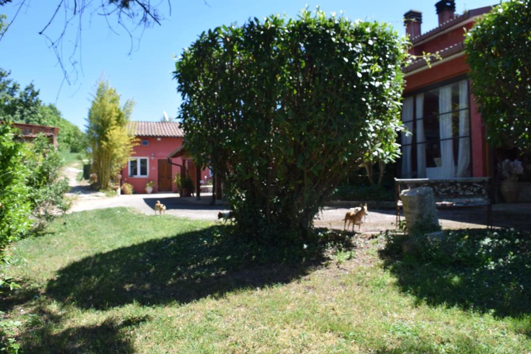Photo of Others in Scandriglia