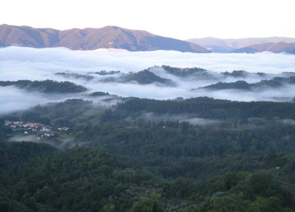 Photo of Others in Magliano