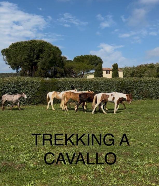Photo of Others in Orbetello