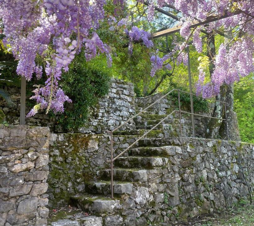 Photo of Others in Ameglia