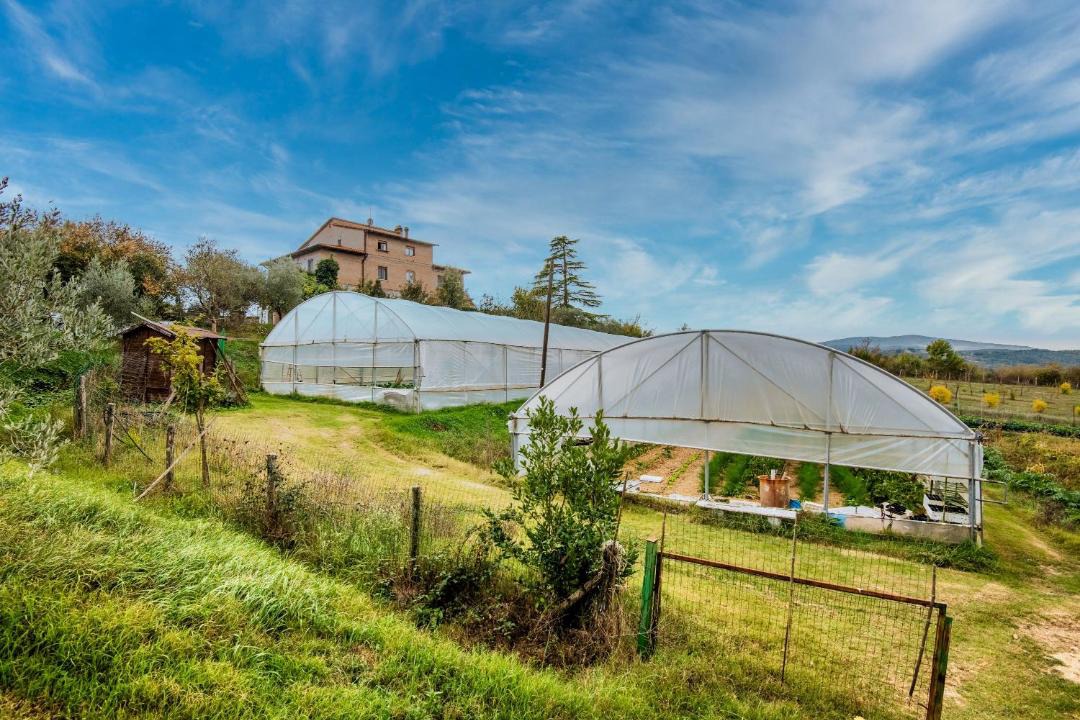 Photo of Others in Monteriggioni