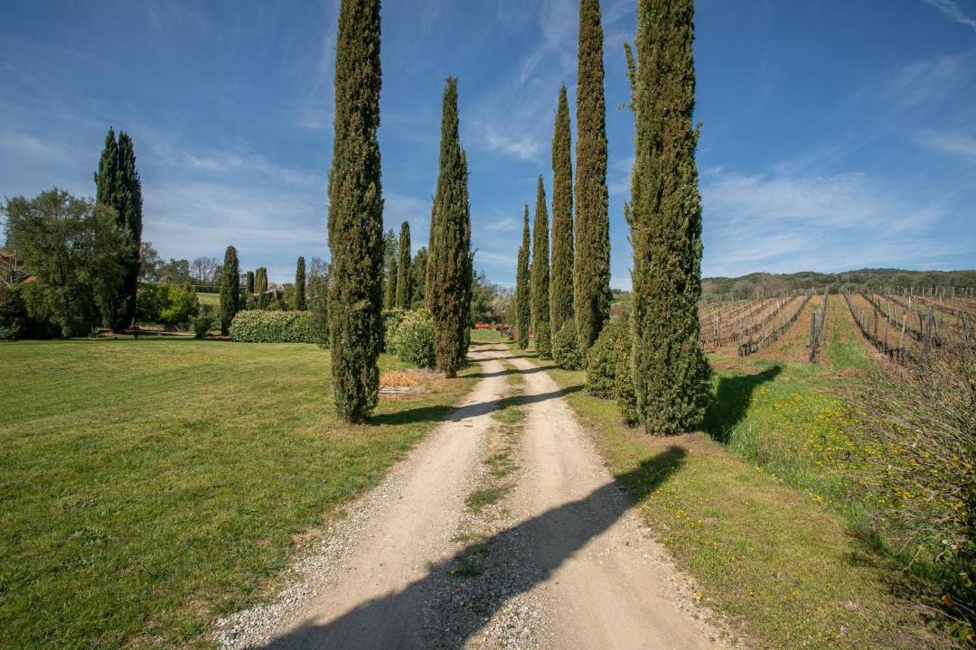 Photo of Others in Roccastrada