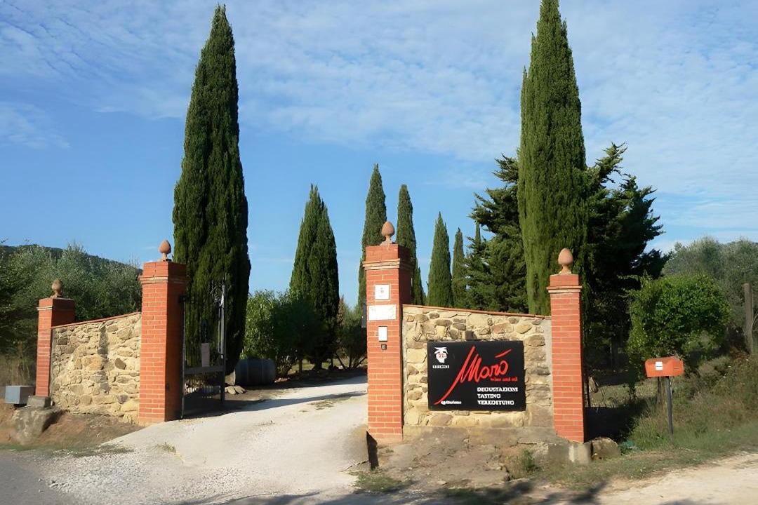 Photo of Others in Suvereto