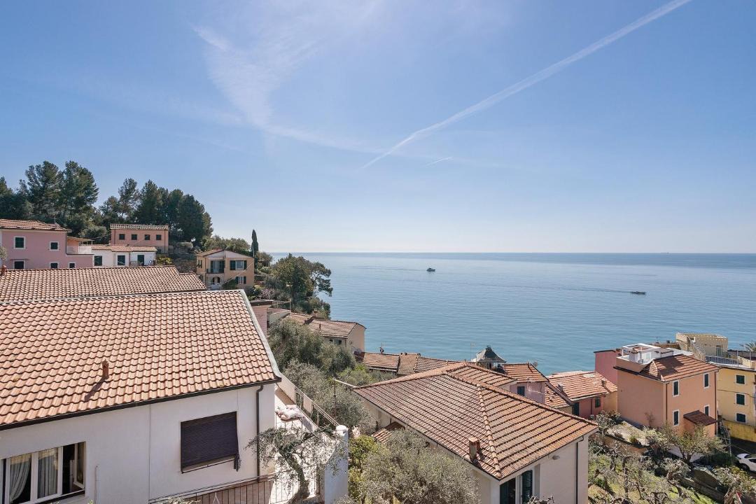 Photo of Others in Tellaro