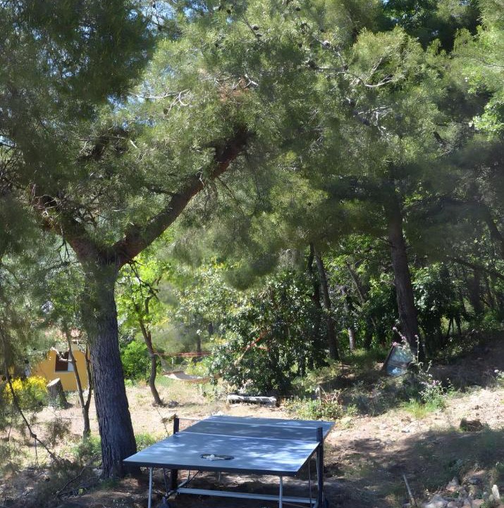 Photo of Others in Ceriale