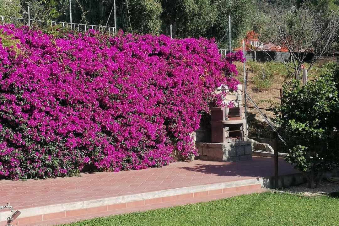 Photo of Others in Patresi