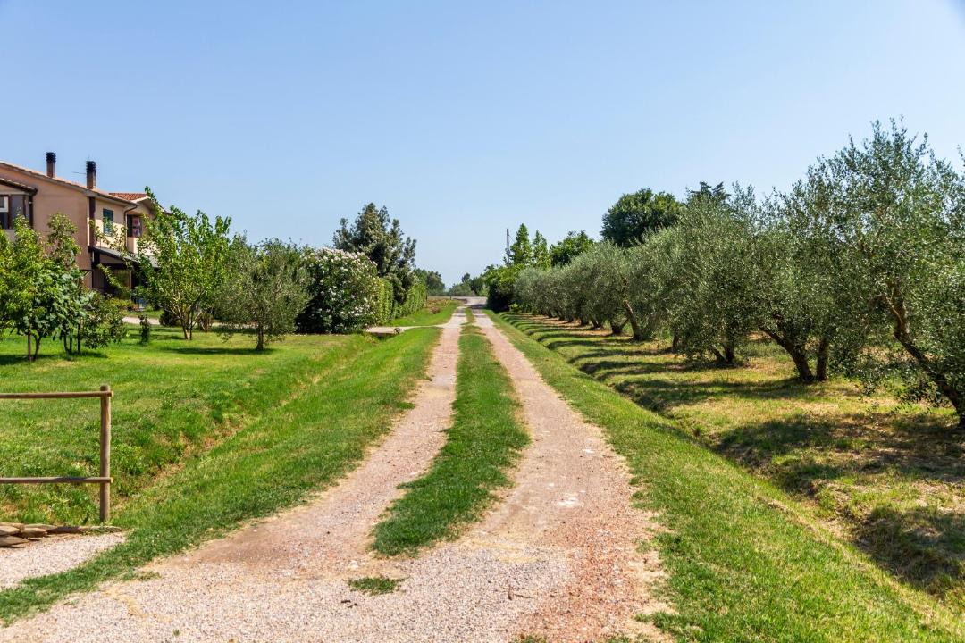 Photo of Others in Grosseto