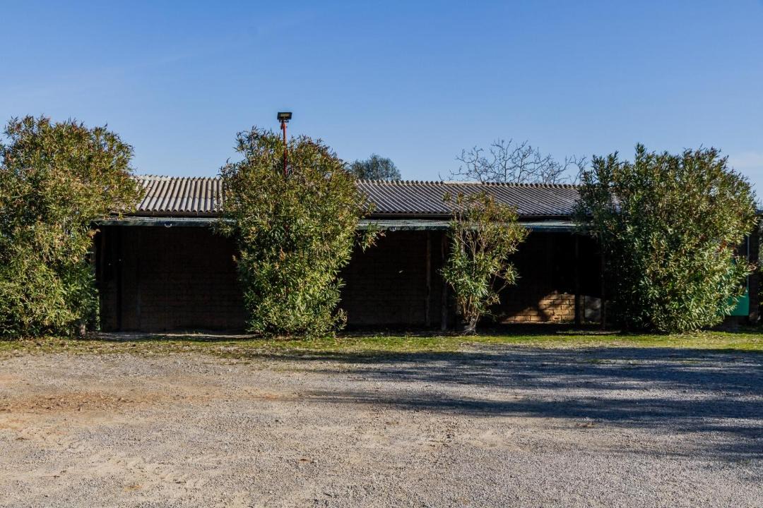 Photo of Others in Magliano in Toscana