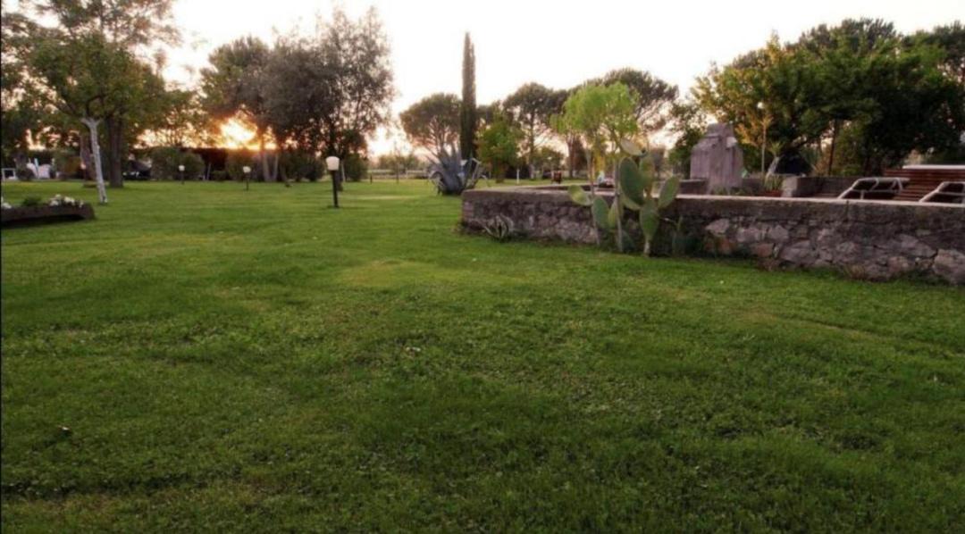 Photo of Others in Grosseto