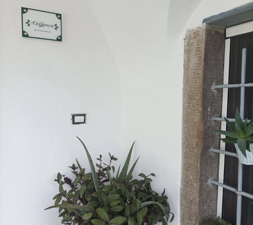 Photo of Others in Ricco del Golfo di Spezia