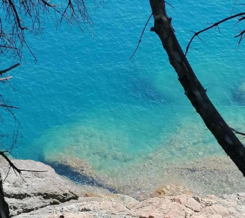 Photo of Others in Ricco del Golfo di Spezia