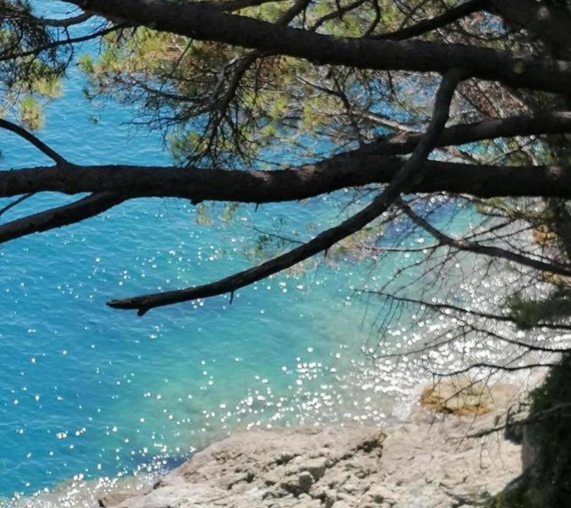 Photo of Others in Ricco del Golfo di Spezia