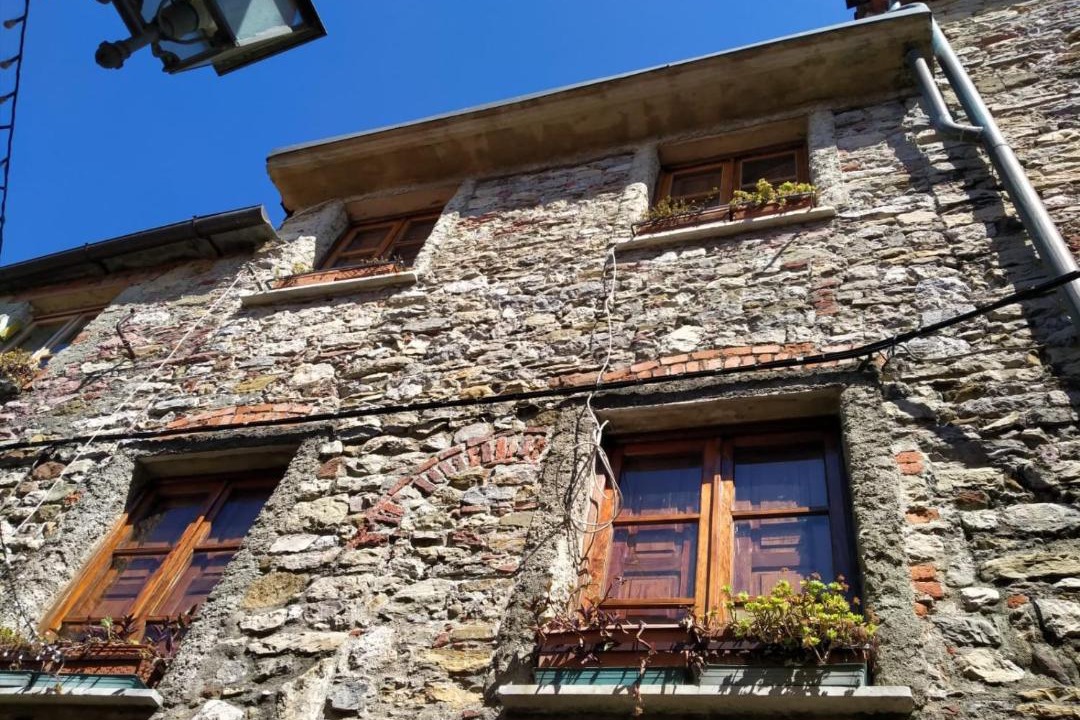 Photo of Others in Trebiano Magra