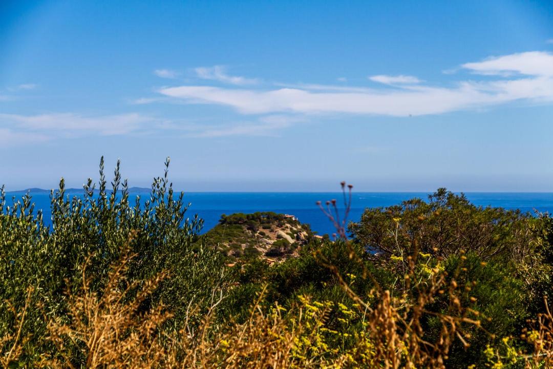 Photo of Others in Giglio Porto