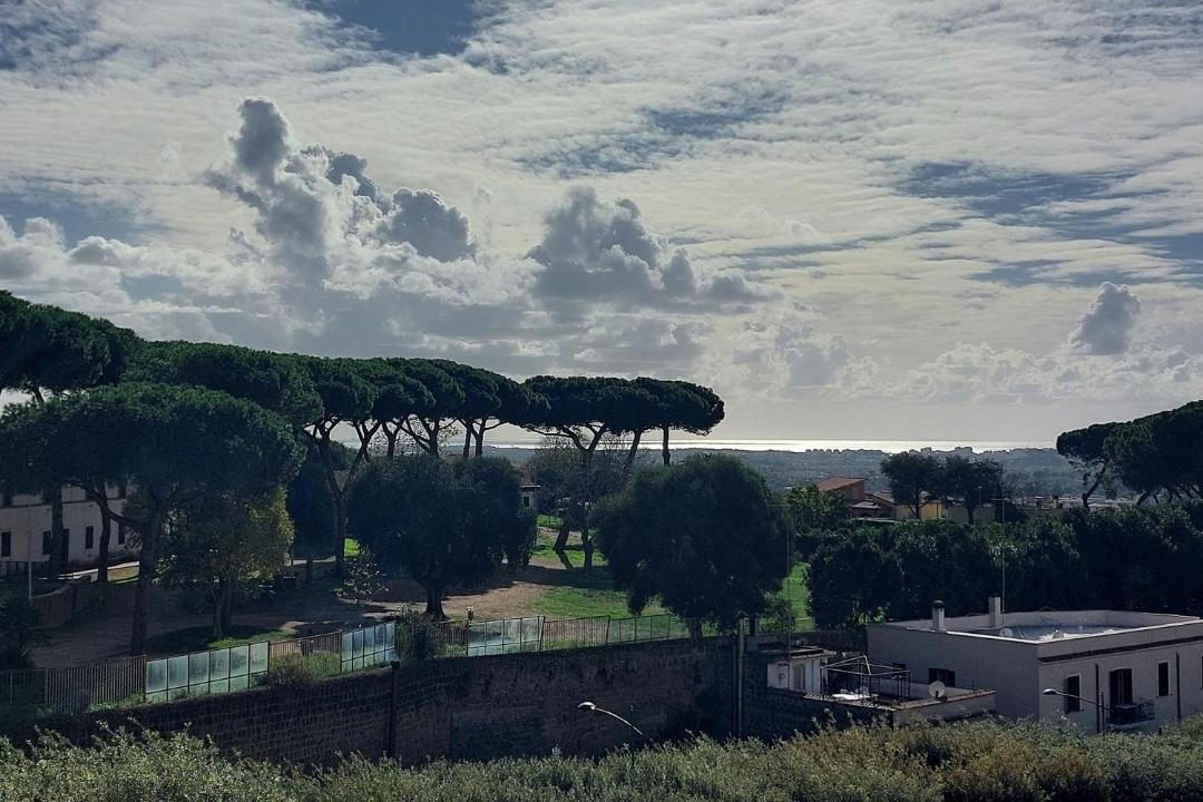 Photo of Others in Cerveteri