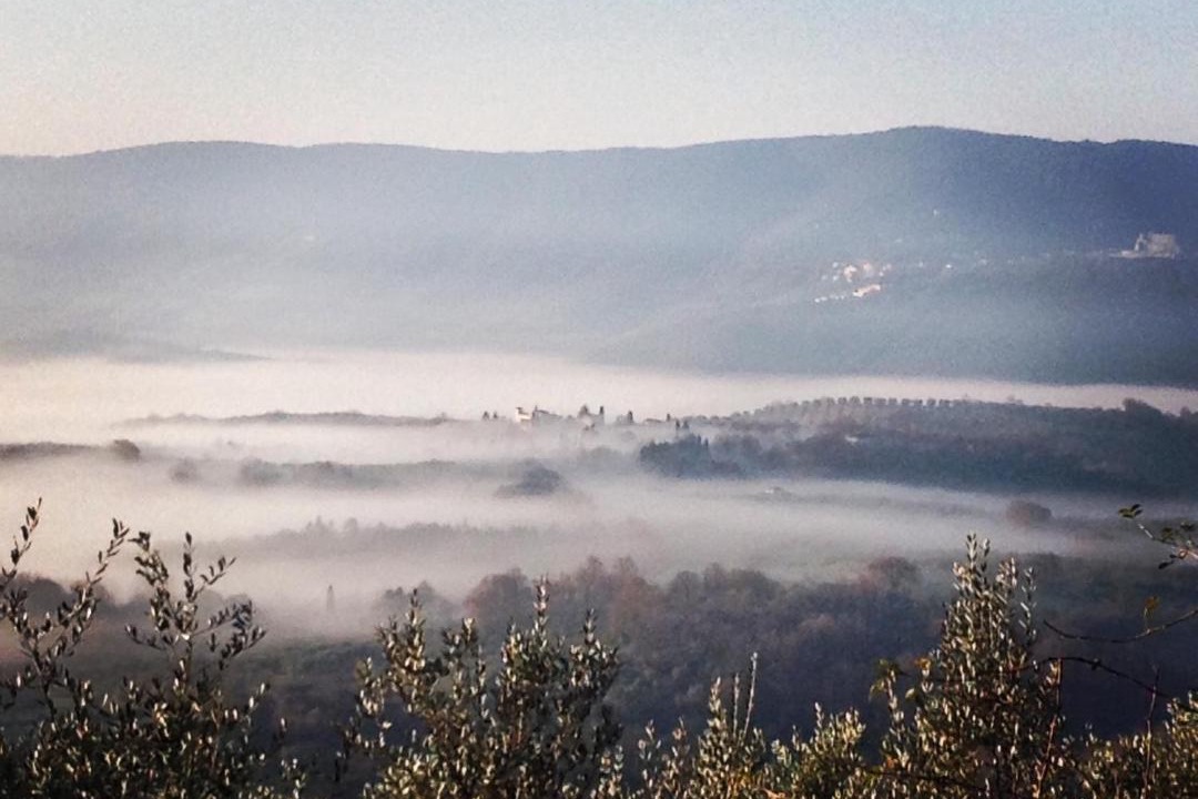 Photo of Others in Poggio Nativo