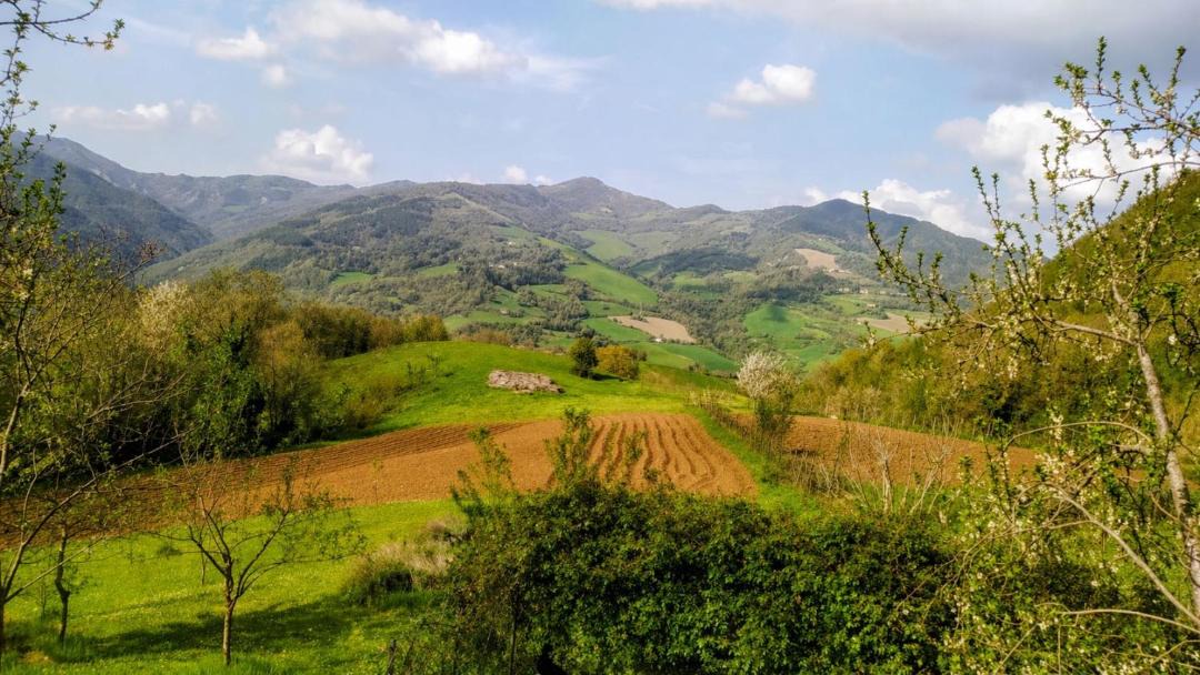Photo of Others in Selvapiana