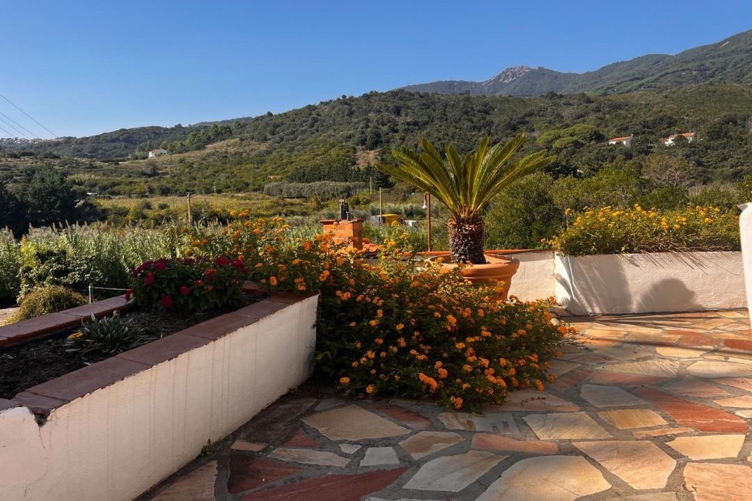 Photo of Others in Campo nell'Elba