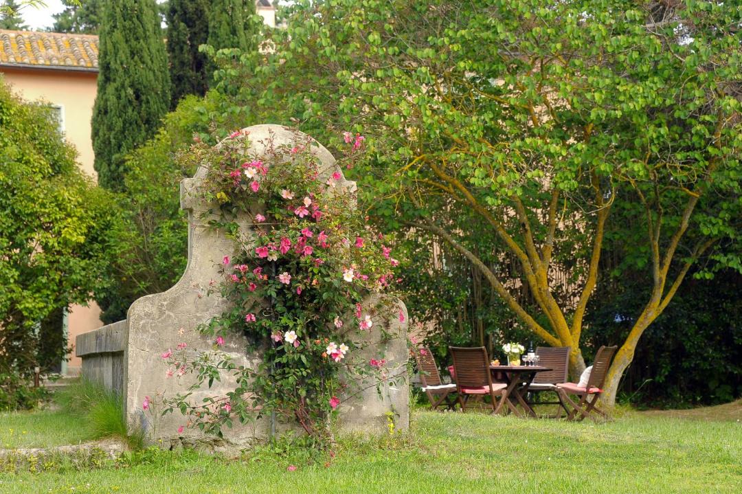 Photo of Others in Pescia Romana