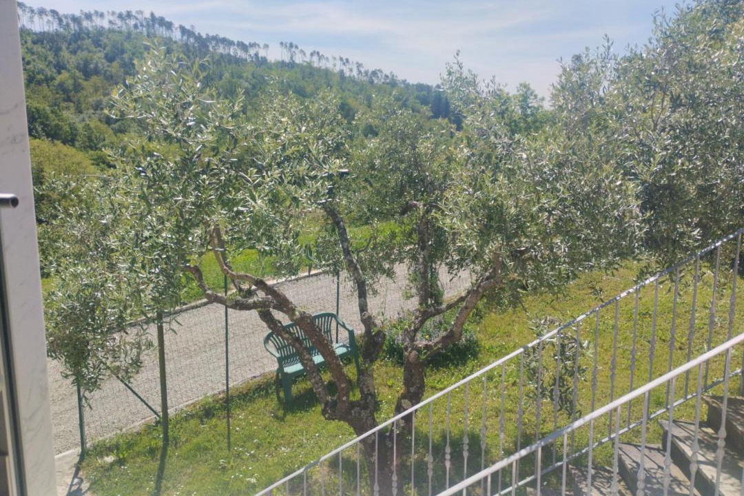 Photo of Others in Ricco del Golfo