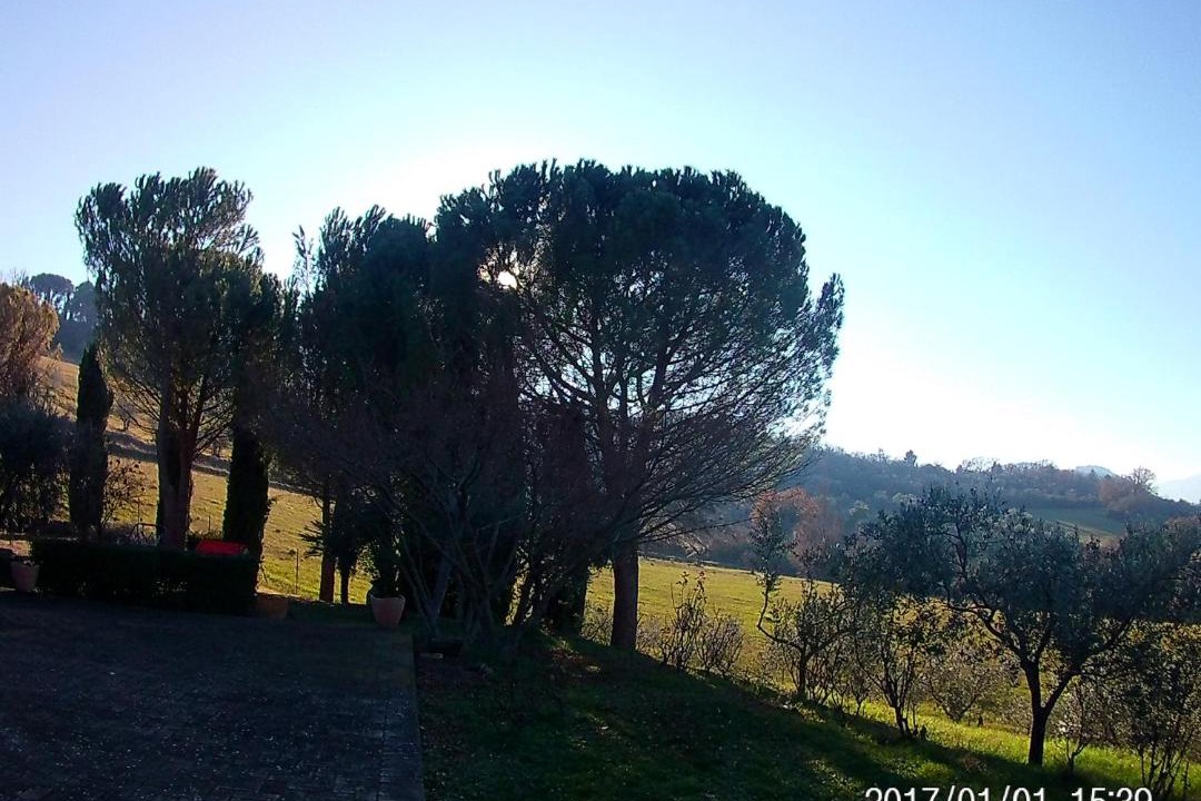Photo of Others in Spoleto