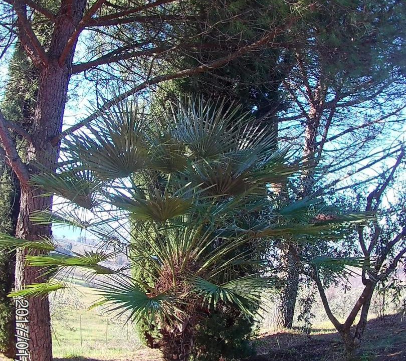 Photo of Others in Spoleto