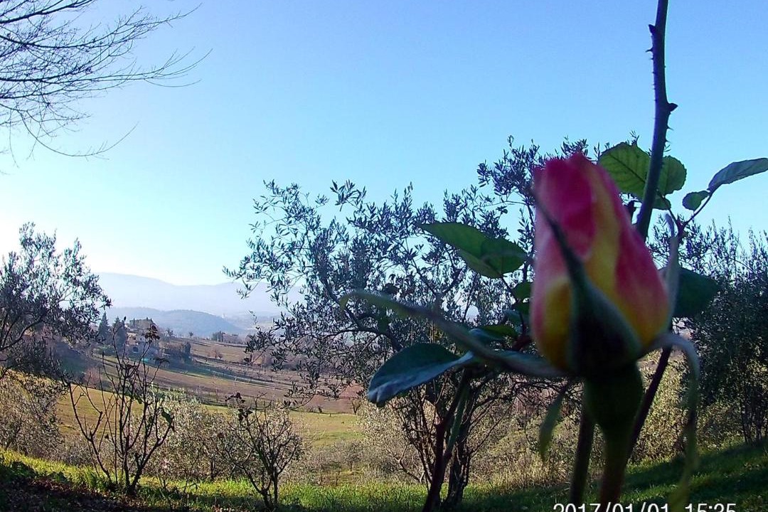 Photo of Others in Spoleto