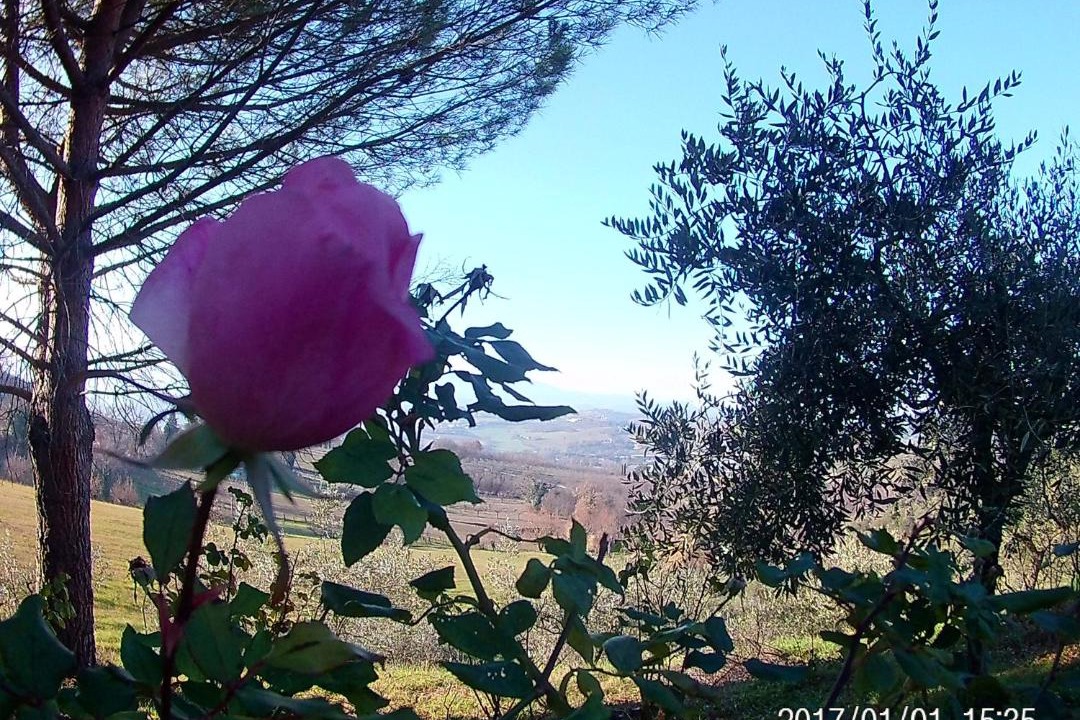 Photo of Others in Spoleto