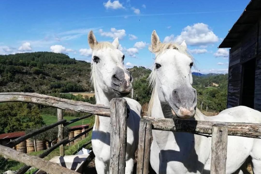 Photo of Others in Citta di Castello