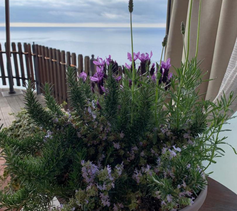 Photo of Others in Finale Ligure