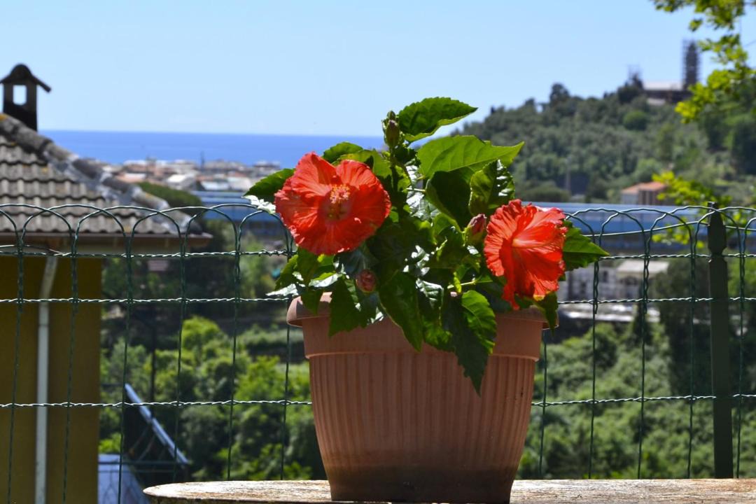Photo of Others in Chiavari
